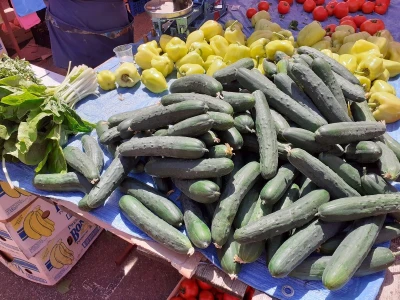 Povrćari na koljenima
