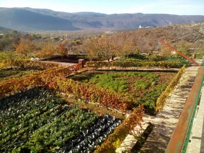 polje