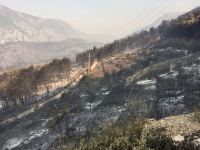Do sada je izgorjel 400 hektara šuma