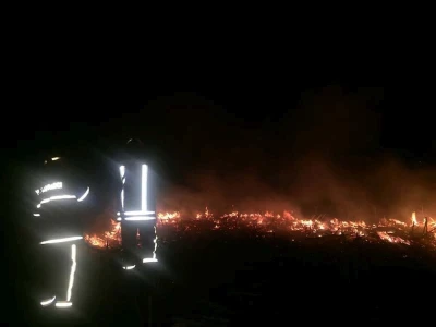 Požar strnjaka kod Osijeka