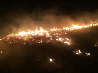 Požar strnjaka kod Osijeka