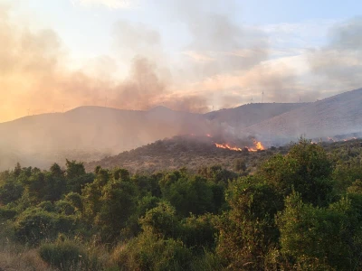 Požr na Korčuli