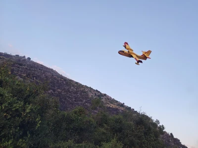 Požr na Korčuli