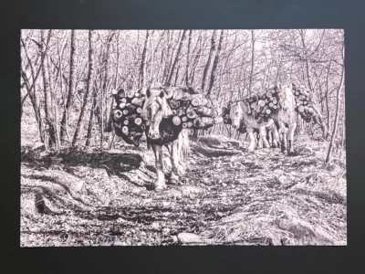 Predavanje Maria Zaccarie o karbunici i vapnenici