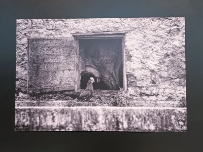 Predavanje Maria Zaccarie o karbunici i vapnenici