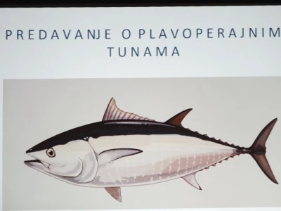 Predavanje o plavoperajnoj tuni
