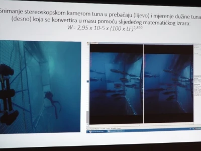 Predavanje o plavoperajnoj tuni