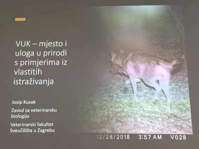 Predavanje prof. dr. sc. Josipa Kusaka o ulozi vuka u prirodnim ekosustavima i značaju njegovog očuvanja.