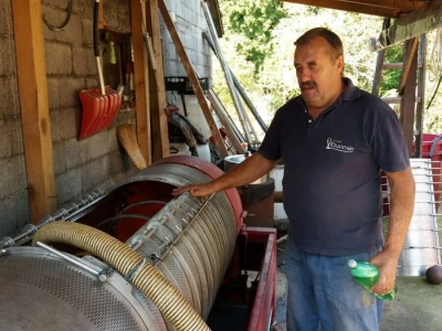 Predikati