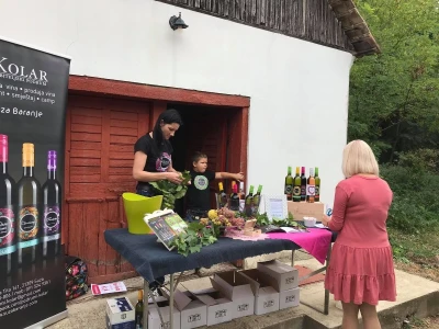 Premium vinski maraton