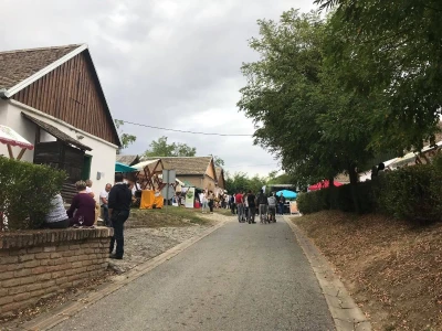Premium vinski maraton