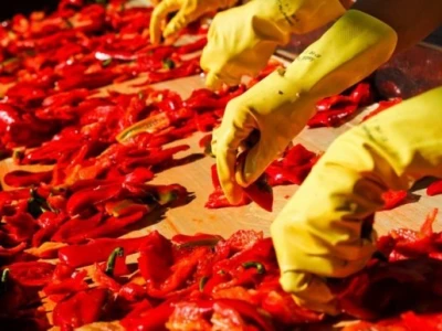 Prerada povrća