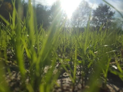 Priča o Mariu Komljenoviću  - odličnom studentu agronomije i vrijednom sinu na obiteljskom gospodarstvu
