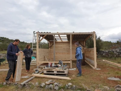 Priča o radnom konju kojeg su Bračanke spasile od klaonice