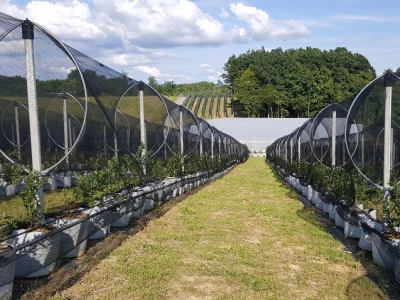Prigorje voće d.o.o.