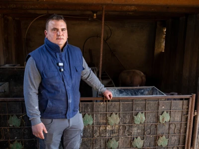 Priprema hrane za svinje na OPG-u Damira Rastije