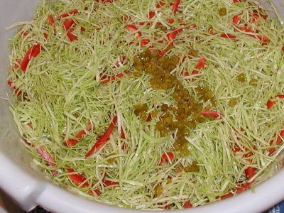 Priprema zimnice