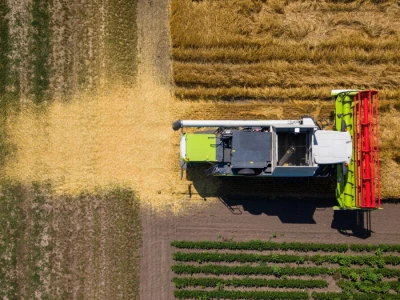 Pripreme za žetvu pšenice