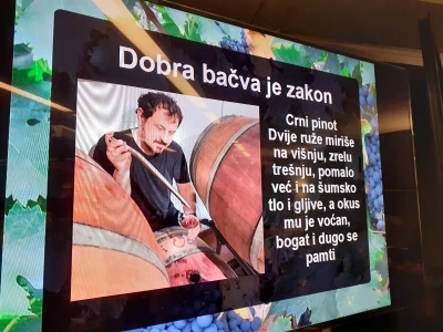 Prirodna vina - Igor Ivanić