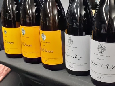 Prirodna vina - Igor Ivanić