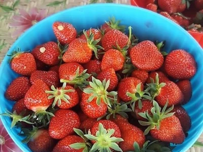 Prodaja iz naslonjača je učinkovitija i efikasnija