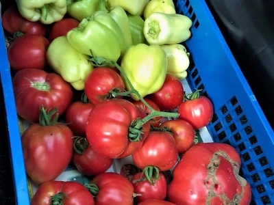 Prodaja iz naslonjača je učinkovitija i efikasnija