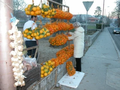 Prodaja neretvanskih mandarina i u Gradu Sinju