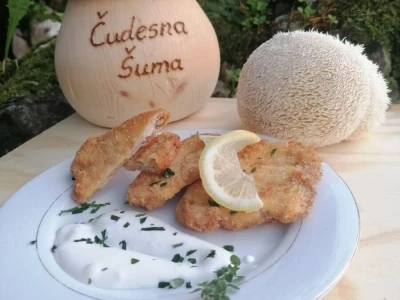 Proizvodnja gljiva na OPG-u Čudesna šuma nositelja Darka Labaša