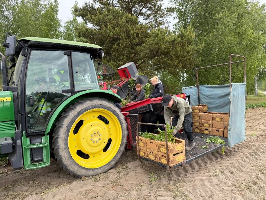 Radnice strojevi