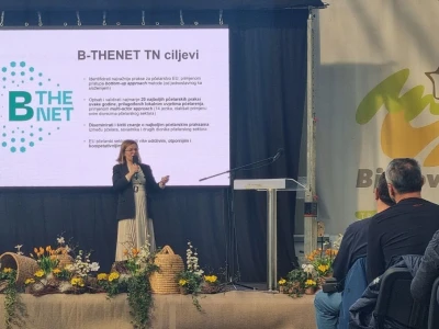 Projekt B-THENET