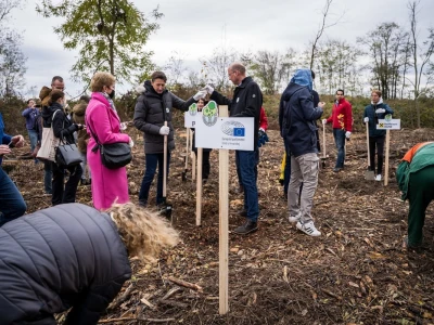 Projekt CO2MPENSATING BY PLANTING