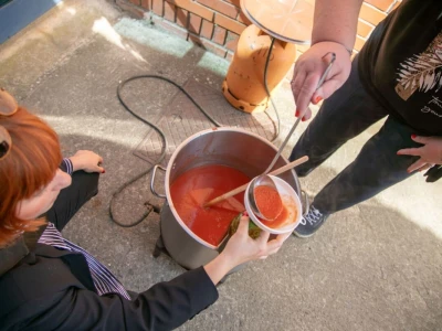 Projekt HobIT: Uzdignute gredice