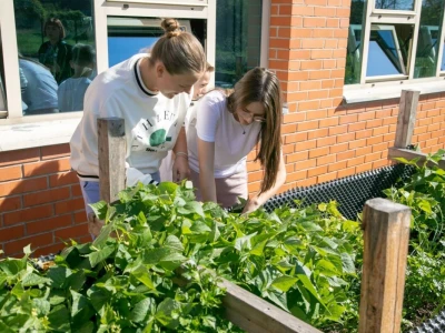 Projekt HobIT: Uzdignute gredice
