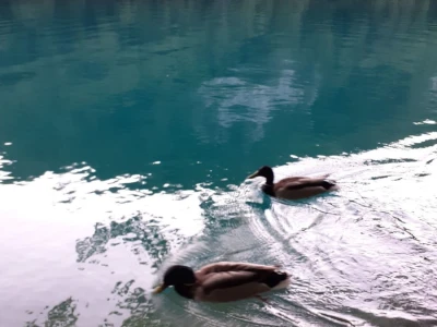 Proljeće na Plitvicama