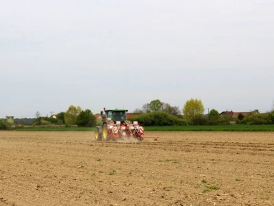 Proljetna sjetva