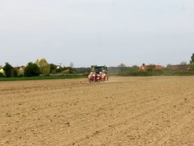 Proljetna sjetva