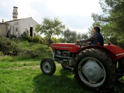Promoviramo živa vina koja se mijenjaju, ovisno o godini organizatora, Tomislav Brajnović