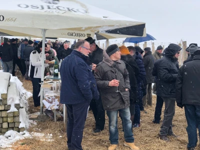 Proslava blagdana svetog Vinka u Mandićevcu