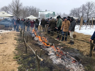 Proslava blagdana svetog Vinka u Mandićevcu
