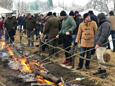 Proslava blagdana svetog Vinka u Mandićevcu