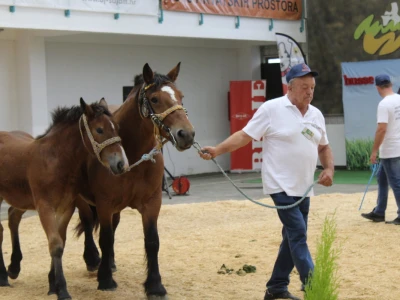 Prvi dan 29. Jesenskog međunarodnog bjelovarskog sajma