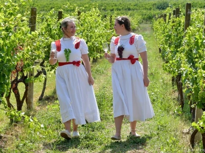 Prvi Kvarnerski pjenušavi doručak u vinogradu