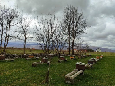 Prvi pčelarski park u BiH, jedinstven i u Europi