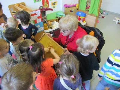 Prvi urbani inkluzivni terapijski pčelinjak