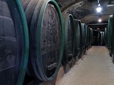 Ptujska klet - vinarija