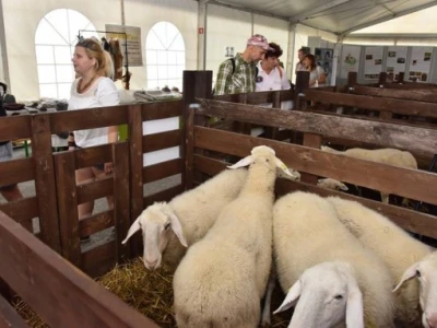 Slovenski program ruralnog razvoja usvojen pola godine prije našeg