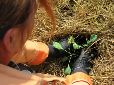 Radionica održivog vrtlarstva - Društveni vrt Gregovica
