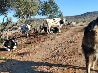 Ranch4Me