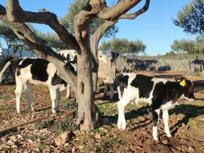 Ranch4Me