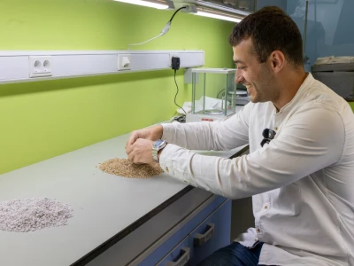 Razlike između perlita i vermikulit